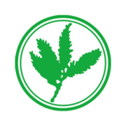 红杉资本（中国）