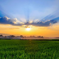 北京****旅游度假康养休闲基地项目